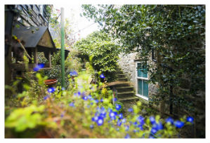 The stone steps up to Abbey Place Net Loft